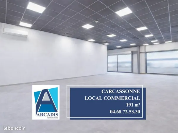Local 191 m² CARCASSONNE