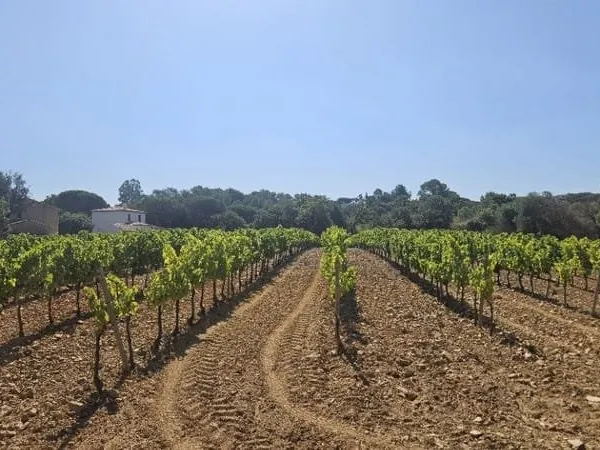 Terrain 698 m²