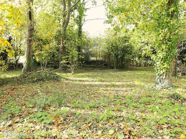 Terrain à vendre