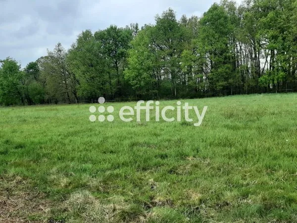 Terrain 4578 m²