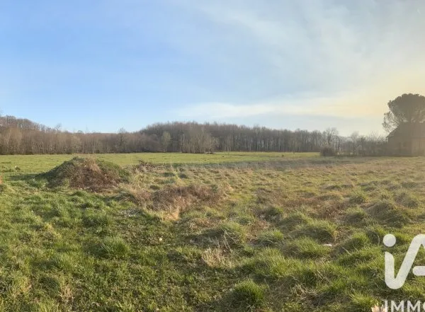 Terrain 1331 m²