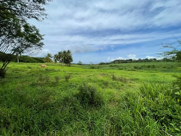 Terrain 1000 m²