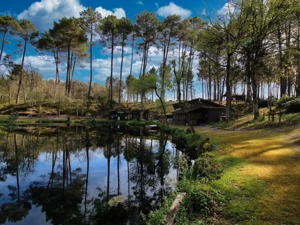 Base de loisir, aire de camping, étang de pêche VILLANDRAUT (33)