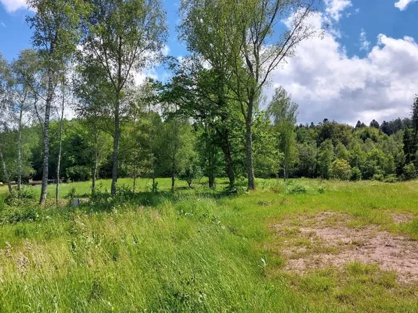 Saulcy-sur-Meurthe - Parcelle de terrain à bâtir viabilisée