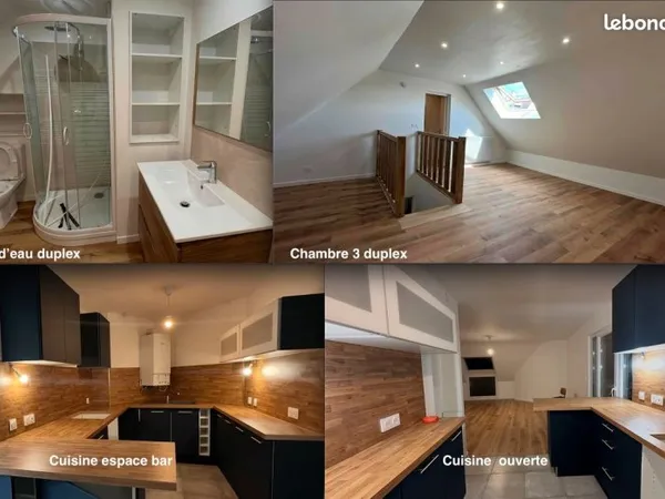 T 4/5 85 m2 rénové comme neuf