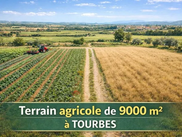 Terrain en individuel 9000 m²