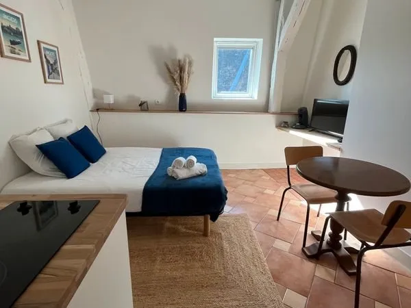 Studio meuble centre ville