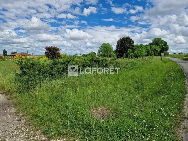 Terrain Julienne 7447 m2