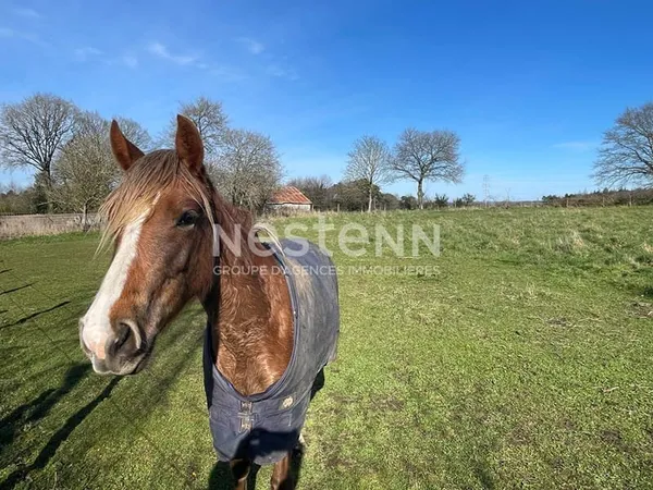 Maison de plain pied avec terrain pour chevaux et dépendances