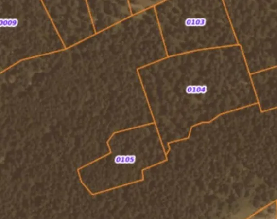 Terrain boisé  forêt