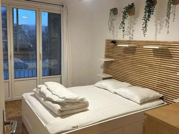 Appartement - T3 - TOULOUSE - 1200