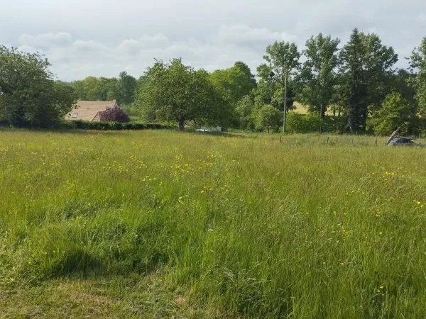 Grand terrain a batir 1891 m²