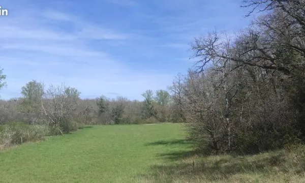 Terrain boisé et prairie