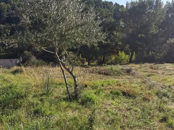 Terrain constructible 853 m²