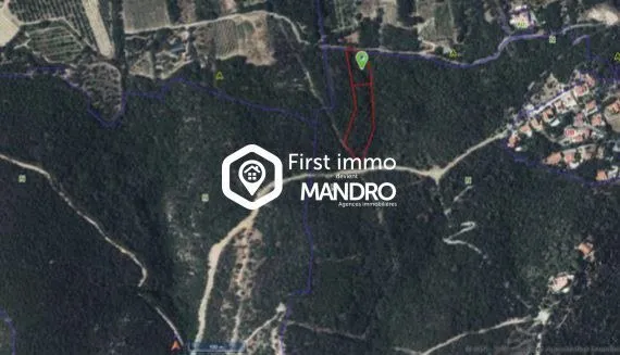 Terrain 6835 m²