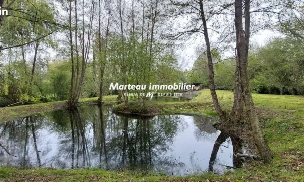 Terrain 5190 m² SAINT PIERRE DU LOROUER