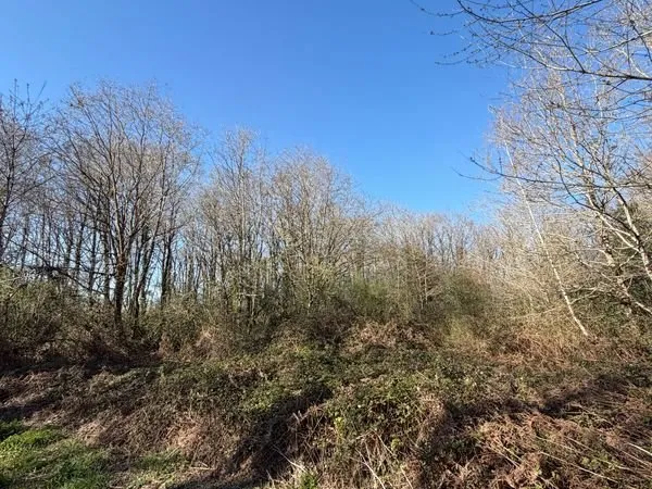 Terrain 1600 m² Bois-de-Céné