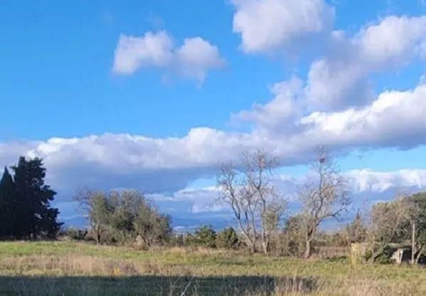 Terrain 790 m²