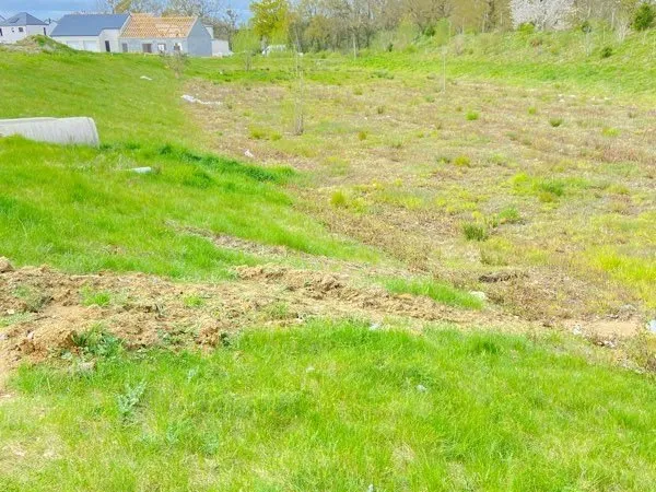 Lou terrain