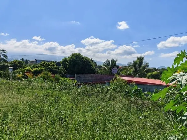 Terrain plat constructible de 400 m² a Ravine des Cabris