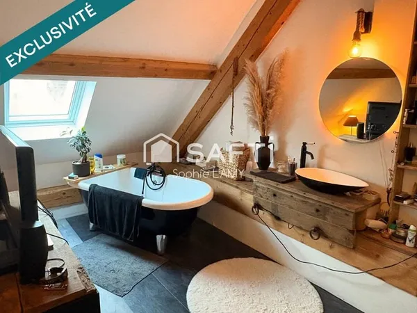 INVESTISSEMENT A CHEVGNY SAINT SAUVEUR EXCELLENT DPE