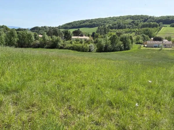 Terrain 2004 m²