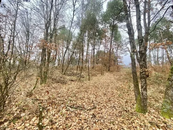 Terrain à bâtir