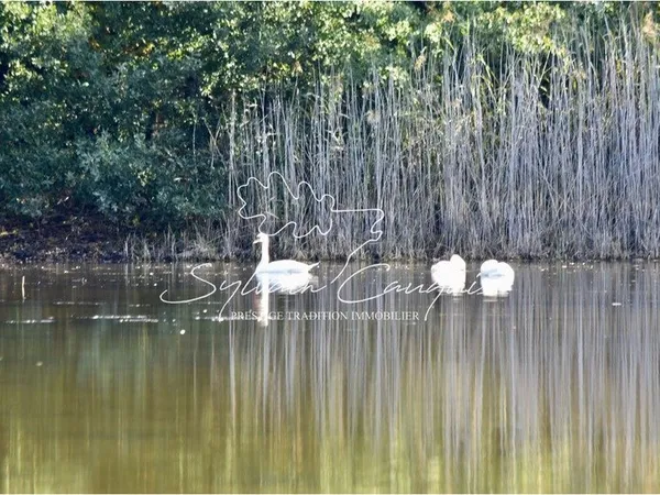 Propriété de Pêche ou d'Agrément de 5 hectares en Forêt d'Orleans