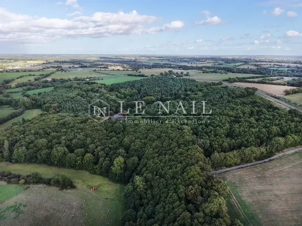 Domaine boisé de 26 ha avec ancien corps de ferme en Haut-Anjou