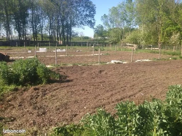 Location Jardin potager