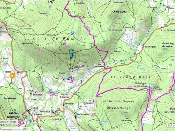 Propriété forestière dans le FOREZ commune de VOLLORE MONTAGNE 63120