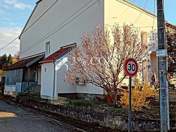 Maison Gîte à Neufmaisons 54540 (Meurthe et Moselle).