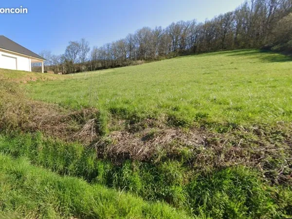 Terrain constructible