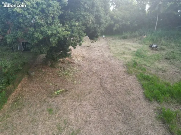 Terrain 1000 m² LES ANSES D ARLET