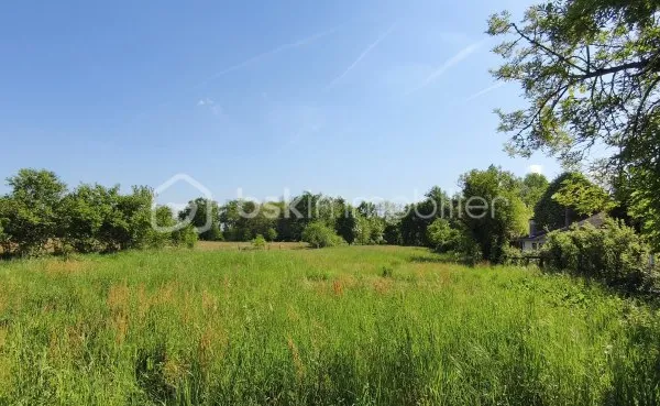 Terrain 3249 m²