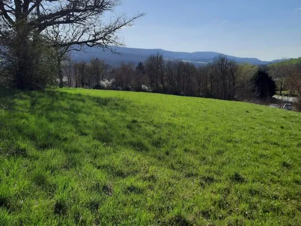 A vendre Beau terrain constructible à Ste-Eulalie-de-Cernon