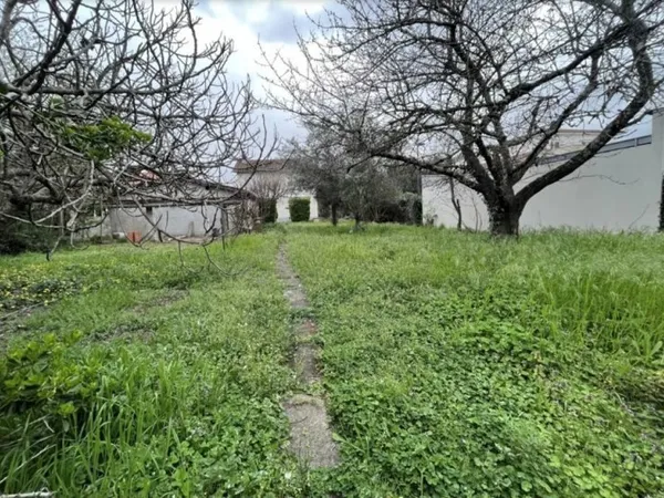 Terrain 315 m²