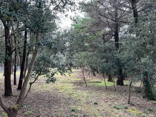 Terrain 851 m²