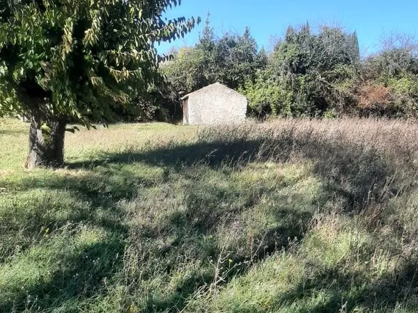 Terrain agricole 10euros M2