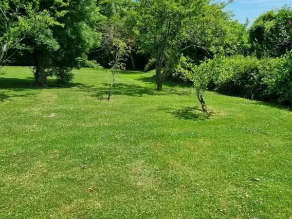 MOUROUX - BEAU TERRAIN À BÂTIR 776 M² - FAÇADE 12,51 M - ASSAINISSEMENT COLLECTIF