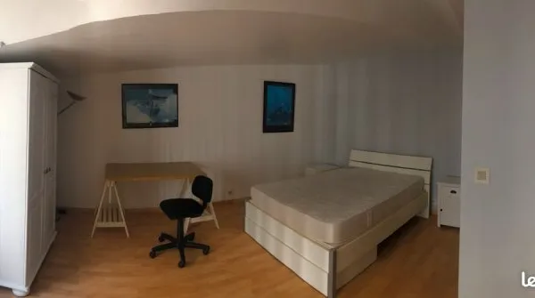 Hypercentre T2 duplex meublé 40m2
