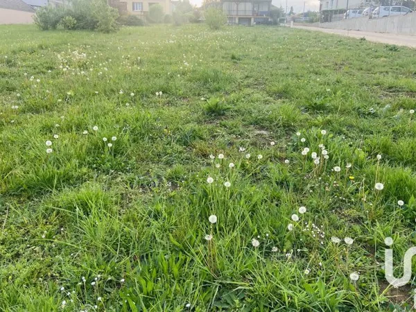 Terrain 1704 m²