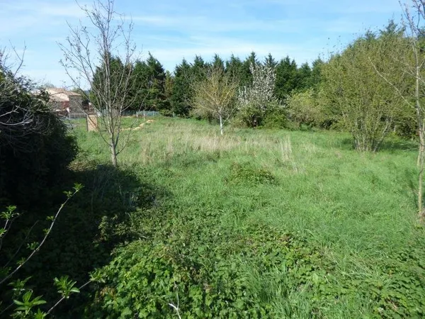 TERRAIN CONSTRUCTIBLE MAZAMET - 1058 m2