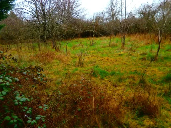 TERRAIN A BATIR 3000 M2 POUR USAGE PROFESSIONEL