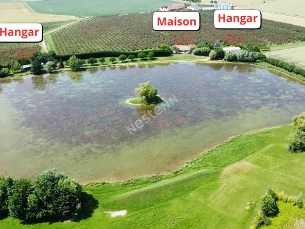 Belle propriété sur environ 10 hectares proche Seurre (21)