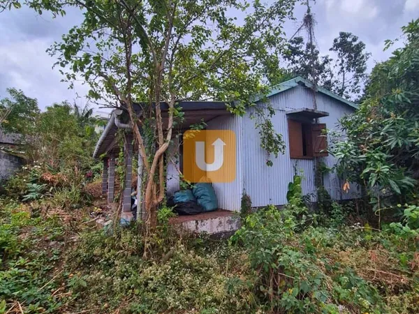 MAISON A RESTRUCTURER SUR UNE PARCELLE DE 819m2 DANS LES BAS