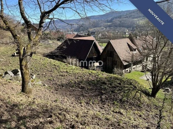 Maison 14 pièces 382 m²