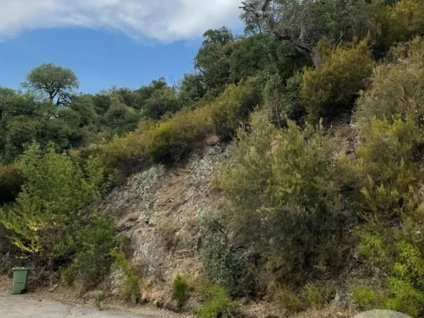Terrain 7337 m²