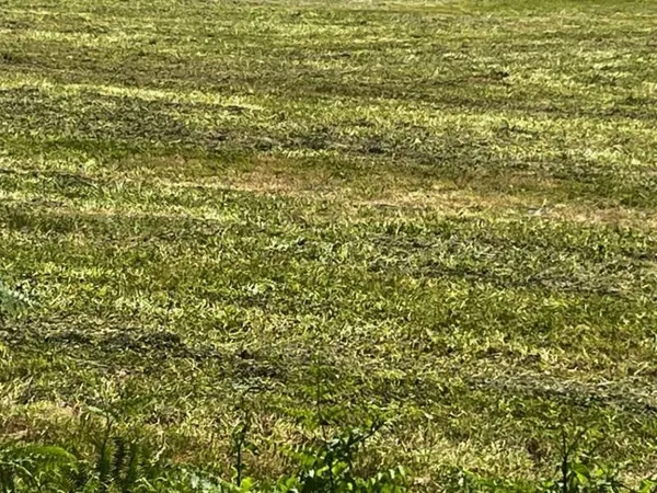 Terrain 772 m²