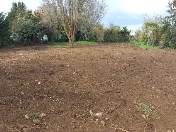 Vends 2 lots terrains nu libre constructeur